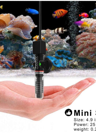 PULACO 25W Small Aquarium Submersible Betta Heater with Free Thermometer Strip, Under 6 Gallon Fish Tanks (Preset Temperature 78芒聞聣)
