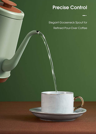DmofwHi Gooseneck Electric Kettle(1.0L), 100% Stainless Steel BPA Free Classic Pour Over Coffee Kettle | Tea Kettle - Green