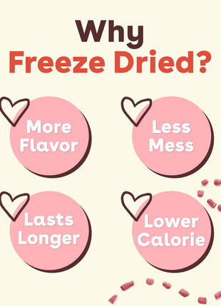 Pupford Freeze Dried Training Treats for Dogs & Puppies, 475+ Three Ingredient Bites (Beef Liver, 4 oz)