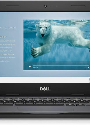 Dell Chromebook 11 3100 11.6 inch Chromebook - 1366 x 768 - Celeron N4020-4 GB RAM - 16 GB Flash Memory - Chrome OS - Intel HD Graphics - English (US) Keyboard - Bluetooth (Renewed)