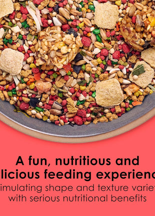 Kaytee Fiesta Parakeet Food, Nutritious and Fun Blend, Supports Skin, Feather, Digestion, Brain and Heart Health, 2 pounds