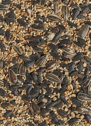 Kaytee Western Regional Wild Bird Seed, 7 lb