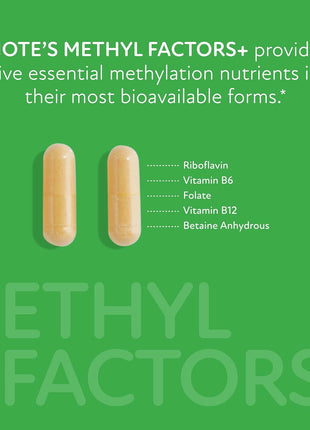 Biote Nutraceuticals - Methyl Factors+ - Circulation + Mood (90 Capsules) (Pack of 2)