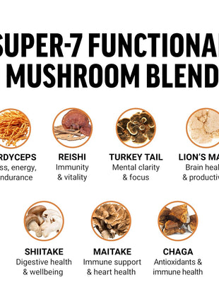 Force Factor Modern Mushrooms Soft Chews, Mushroom Supplement | with Lions Mane, Turkey Tail & Cordyceps to Support Energy, Focus & Digestion, Cinnamon Roll, 120 Soft Chews, 2-Pack