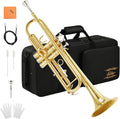 Eastar Bb Standard Trumpet Set for Beginner, Brass Student Trumpet Instrument with Hard Case, Cleaning Kit, 7C Mouthpiece and Gloves, ETR 380, Golden