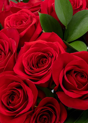 Benchmark Bouquets - Red Roses Bouquet - Fresh Flowers for Delivery - Real Roses - Two Dozen Long Stem Roses for Anniversary - Romantic Gift Set - Gifts for Women (Glass Vase Included)