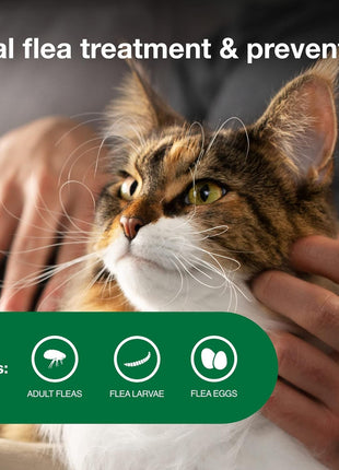 Advantage II Large Cat Vet-Recommended Flea Treatment & Prevention | Cats Over 9 lbs. | 6-Month Supply