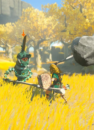 The Legend of Zelda: Tears of the Kingdom - Nintendo Switch (US Version)