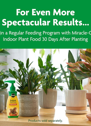 Miracle-Gro Indoor Potting Mix, Blended for a Variety of Houseplants, Feeds for up to 6 Months, 6 qt., 2-Pack