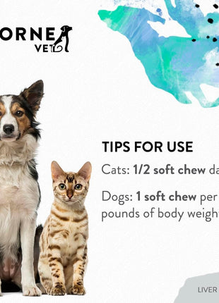Liver Support Formula and Canine Geriatric Basics Soft Chews Bundle