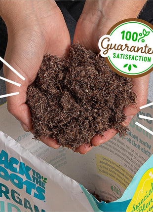 Back to the Roots 100% Organic Indoor Potting Mix (6 Quart), Promotes Healthy Houseplant Growth, Made in The USA