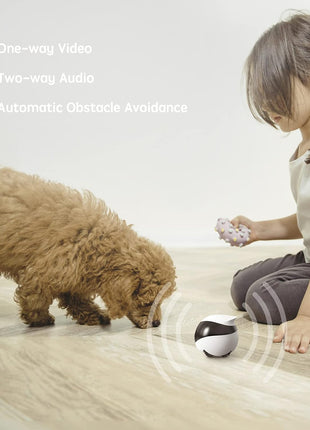 Enabot EBO SE FamilyBot Home Camera Robot: 1080P Movable Pet Camera Indoor, Battery-Operated, Auto-Recharge, Night Vision, 2-Way Talk, Local Storage, APP Control