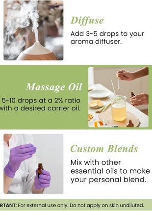 Handcraft Blends Peppermint Essential Oil – Huge 4 Fl Oz – 100% Pure and Natural – Premium Grade Essential Oil for Diffuser and Aromatherapy, Skin, Massage, Candle and Soap Making Fragrance