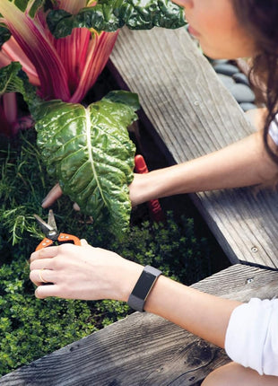 Fitbit Charge 3 Fitness Activity Tracker
