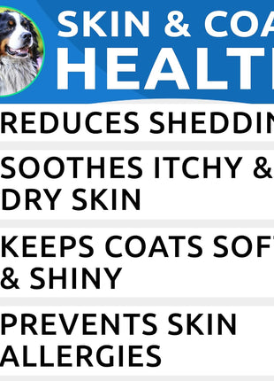 Allergy Relief + Omega 3 Bundle - Anti-Itch Skin & Coat Supplement + Itch Relief - Omega 3 Fish Oil + EPA & DHA Fatty Acids - Itching & Paw Licking + Joint Health - 360 Chews - Made in USA