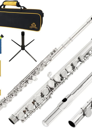 Closed Hole C Flute 16 Keys Instrument for Student Beginners with Cleaning Kit, Stand, Carrying Case, Gloves and Tuning Rod