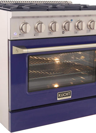 36 in. 5.2 cu. ft. Natural Gas Range with Sealed Burners and Convection Oven in Stainless Steel with Blue Oven Door