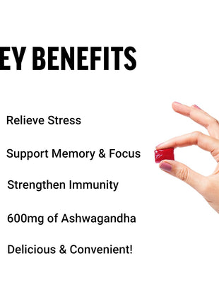 Force Factor Better Turmeric Joint Support Supplement for Extra Strength Joint Health & Amazing Ashwa for Stress Relief, Memory, Focus, and Immune Support Health