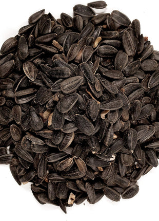 Wagner's 52023 Black Oil Sunflower Seed Wild Bird Food, 5-Pound Bag