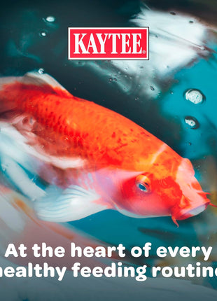 Kaytee Koi's Choice Koi Floating Fish Food, For Koi, Goldfish and Pond Fish, 10 pounds