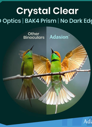 12x42 HD Binoculars for Adults High Powered with Phone Adapter and Tripod, Super Bright BAK4 Prism Waterproof Binoculars for Bird Watching Hunting Hiking Safari Travel Sports