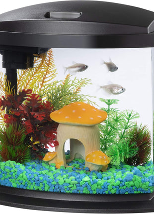 Aqueon LED MiniBow Small Aquarium Fish Tank Kit with SmartClean Technology, Black, 5 Gallon