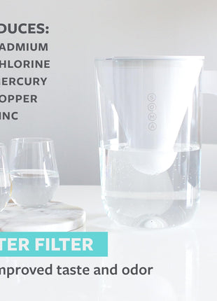 Soma by Full Circle Water Pitcher Filters (Pack of 2)