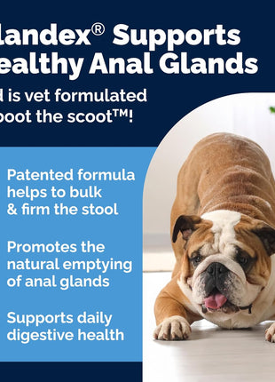 Vetnique Glandex Anal Gland Soft Chew Treats with Pumpkin for Dogs Digestive Enzymes, Probiotics Fiber Supplement for Dogs Boot The Scoot (Peanut Butter Chews, 60 Count)