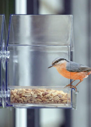 Nature's Way Win-3 Clear View Window Bird Feeder with Strong Suction Cups, Transparent Outdoor Wild Bird Seed Feeder and Décor, 2 Cup Capacity, Clear, 6.5 inch