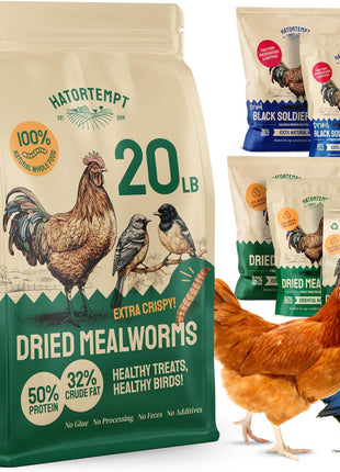 Hatortempt Dried Mealworms - Non-GMO & Organic - High-Protein Mealworms for Wild Bird Food, Ducks & Chickens (5lb)