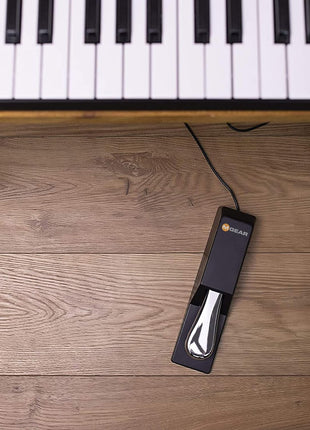 M-AUDIO SP-2 Universal Sustain Pedal | Classic Piano-Style Pedal, Universal Compatibility with MIDI Keyboards, Pianos, and Synthesizers