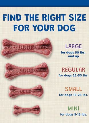 Blue Buffalo Dental Bones Mini Natural Dental Chew Dog Treats Bag,12oz. Bag,(Pack of 2)