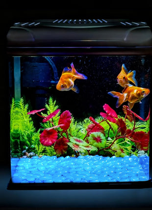 Oubest Fish Tank Rocks Glow in The Dark Pebbles for Garden Aquarium Plant PotsBonsai Walkway Driveway 100pcs Blue