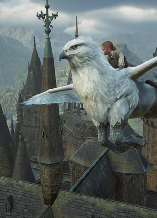Hogwarts Legacy - Nintendo Switch 2