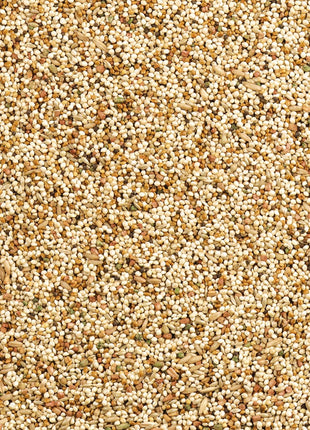 Wild Harvest Daily Blend Nutrition Diet For Parakeet, Canary And Finch 10 Pounds