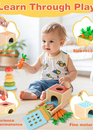 Wooden Montessori Learning Toys Kit,Babies Toys Set for 1 Year Old, Sensory and Thinking Play kit for Toddlers (Boys and Girls). 4 in 1 Drop Box; Rocking Stacker; Bead Maze.