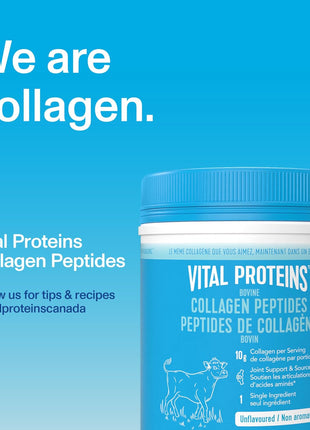 Vital Proteins Unflavoured Collagen Peptides, 567 GR