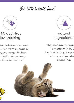 Dr. Elsey's® Clean Tracks Clumping Clay Cat Litter 40 lb. Bag