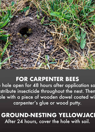 Spectracide Carpenter Bee And Ground-Nesting Yellowjacket Killer Foaming Aerosol 16 Ounces, Expands To Where Insects Live