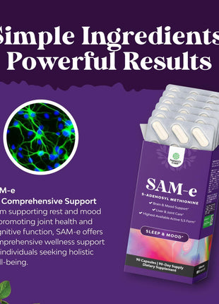 Bundle of Pure SAM E Supplement 150mg - Nootropic Same 150mg Per Serving for Memory & Brain Support and L Lysine 1000mg Free Form - L-Lysine Supplement for Eye Health Lip Care Collagen Synthesis