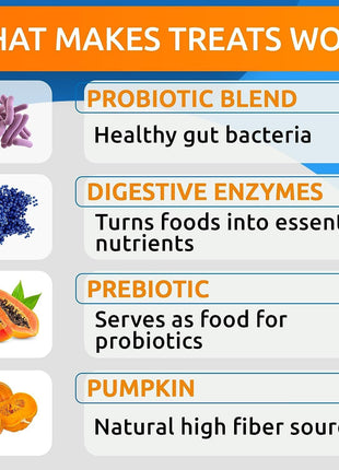 Allergy Relief + Probiotics & Digestive Enzymes for Dogs - Anti-Itch Skin & Coat Supplement - Omega 3 Fish Oil - Gut Health - Pet Diarrhea Gas Treatment, Upset Stomach Relief Pills, Digestion Health