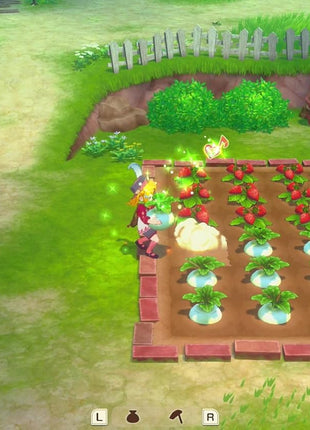 STORY OF SEASONS: Grand Bazaar - Nintendo Switch