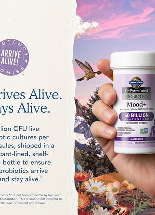 Garden of Life Probiotics Mood+ Dr Formulated Acidophilus Probiotic Supplement - Promotes Emotional Well-Being, Relaxation and Digestive Balance - Ashwagandha for Stress Management, 60 Veggie Caps