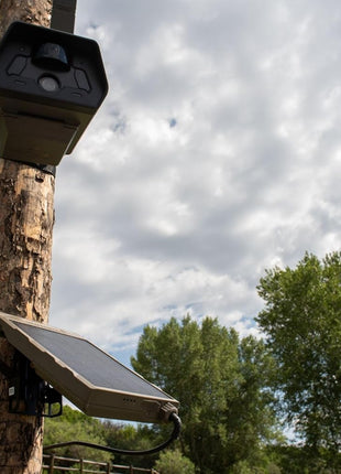 TACTACAM Defend Solar Panel for Cellular Security Camera