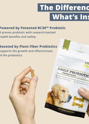 Paw Choice Probiotics for Dogs with Prebiotics - Daily Chews for Gut Health, Digestion, Regularity, and Immune Support - Natural Supplement Treat Made in USA