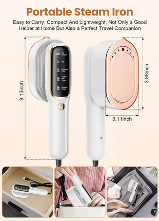 Steamer Iion 1301
