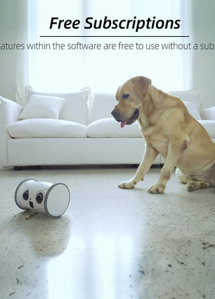 Owl Robot,Pet Camera Treat Dispenser Interactive Toy for Dogs Cats with Remote Phone App Control