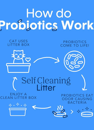 Boxie Probiotic Cat Litter, 40 Day Odor Control, Clumping Clay Kitty Litter, Odor Eliminating Probiotics, Dust-Free, No Fragrances No Fillers, 16 lb