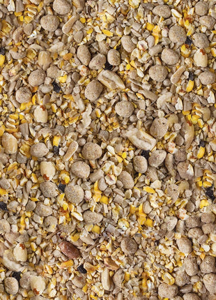 Kaytee Seed & Suet No Mess Peanut 10 Pounds