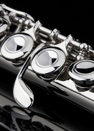 Glory Closed Hole C Flute With Case, Tuning Rod,Joint Grease and Cloth, Gloves, Nickel Siver